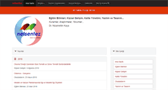 Desktop Screenshot of netsentez.com
