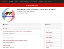 Tablet Screenshot of netsentez.com